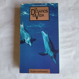 Vhs Os Desafios Da Vida - Falando Com Estranhos, Ver Fotos
