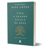 Vida, A Grande Escola De Deus: Transformando Pessoas Para A Eternidade, De Dias Lopes, Hernandes. Editora Hagnos Ltda, Capa Mole Em Português, 2021