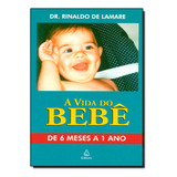 Vida Do Bebê: De 6 Meses A 1 Ano, A, De Rinaldo De Lamare. Editora Ediouro Publicacoes - Grupo Ediouro, Capa Dura Em Português