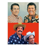 Pardinho