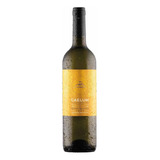 Vinho Blend Branco Fiano Chardonnay Sauvignon Blanc