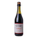 Vinho Italiano Lambrusco Villa Giada 750ml