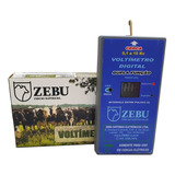 Zebu