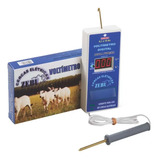 Zebu