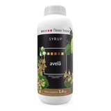 Xarope De Avelã Para Drinks Bebidas Soda Italiana Gin 1,4kg