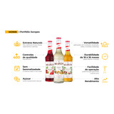 Xarope Monin Sabores Diversos 700ml Francês