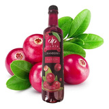 Xarope Soda Italiana - Dilute Premium Vários Sabores 500ml