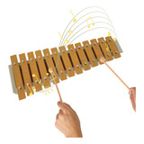 Xilofone Xilofone Glockenspiel Color Notes. Instrumento 13