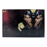 Zona Criativa - Quadro Mda 40x60 Wolverine Fera - 10081461