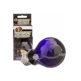 Zoomed Lampada Moonlight Repitile Bulb 100w Ml-100 Spid Fis