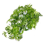 Zoomed Planta Artificial Bu-16 Para Terrario Répteis Aquário
