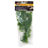 Zoomed Planta Terrario Borneo Star Pq Bu-17 Spid Fish