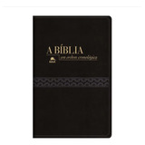 A Biblia Em Ordem