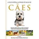 A Enciclopédia Ilustrada De Raças De Cães - Volume 3: Um Guia Visual De A A Z Com 176 Raças Para Você Conhecer E Se Encantar, De Editora Europa. Editorial Editora Europa, Tapa Mole En Português, 2021