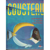 A Grande Aventura De