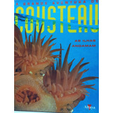 A Grande Aventura De