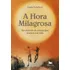 A Hora Milagrosa: Um Método De Oração Que Mudará Sua Vida, De Schubert, Linda. Editorial Associação Nóbrega De Educação E Assistência Social En Português, 1992