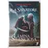 A Lenda De Drizzt Vol. 11  A Lâmina Silenciosa