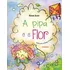 A Pipa E A Flor