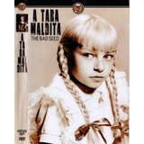 A Tara Maldita Dvd