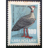 A6096 Uruguai