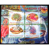 A659 Congo Fauna Marinha