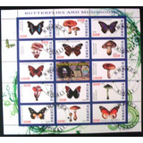 A698 Ruanda Fauna Cogumelos