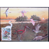 A9429 Maximo Postal Lubrapex