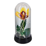 Abajur Luminaria Rapunzel Enrolados