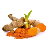 Acafrao Da Terra Curcuma