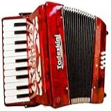 Acordeom sanfona gaita Todeskini