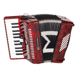 Acordeon 48 Baixos Michael