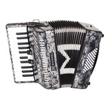 Acordeon 48 Baixos Michael