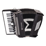 Acordeon 48 Baixos Michael