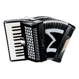 Acordeon 48 Baixos Michael