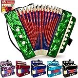 Acordeon Sanfona Gaita Acordeao