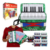 Acordeon Sanfona Gaita Infantil