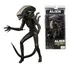 Action Figure Alien Xenomorph Articulado 18cm Top