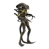 Action Figure Aliens Xenomorph