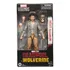 Action Figure Marvel Legends Deadpool & Wolverine