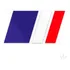 Adesivo Citroen Peugeot Renault Bandeira França Rebaixado