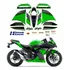 Adesivo Kawasaki Ninja 300 Verde Kit Completo Ninvd Cor Ninja Verde