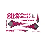 Adesivo Para Bicicleta Caloi