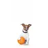 Adesivo Para Porta Cachorro Jack Russell Terrier Mod. 324