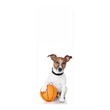 Adesivo Para Porta Cachorro Jack Russell Terrier Mod. 324