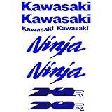 Adesivo Protetor Kawasaki Ninja