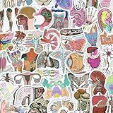 Adesivos De Anatomia 