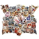 Adesivos De Coruja Sortidos Para Garrafas De água 50 Peças Adesivos De Coruja Em Aquarela E Realistas Para Crianças Adesivos Estéticos De Animais De Vinil à Prova D água Decalques De Corujas