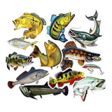 Adesivos Especie De Peixe