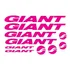 Adesivos Giant Montain Bike Mtb Bmx Speed Rosa